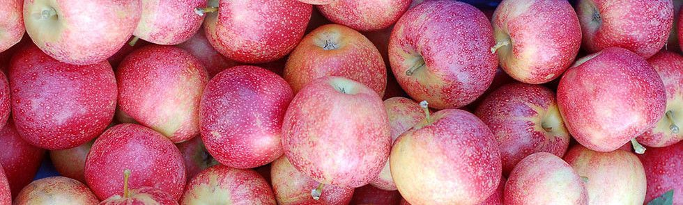 Appels Appels